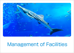 Management of Facilities