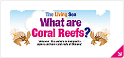 What are Coral Reefs?