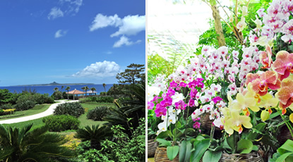 沖縄の自然景観と調和した南国情緒