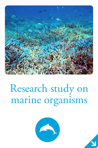 Research study on marine organisms