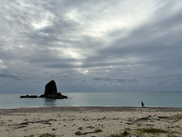 今日の嘉陽海岸