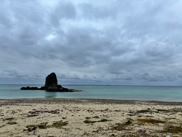 今日の嘉陽海岸