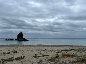 今日の嘉陽海岸