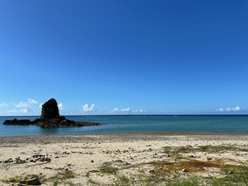 今日の嘉陽海岸