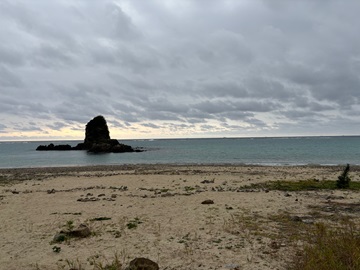 今日の嘉陽海岸