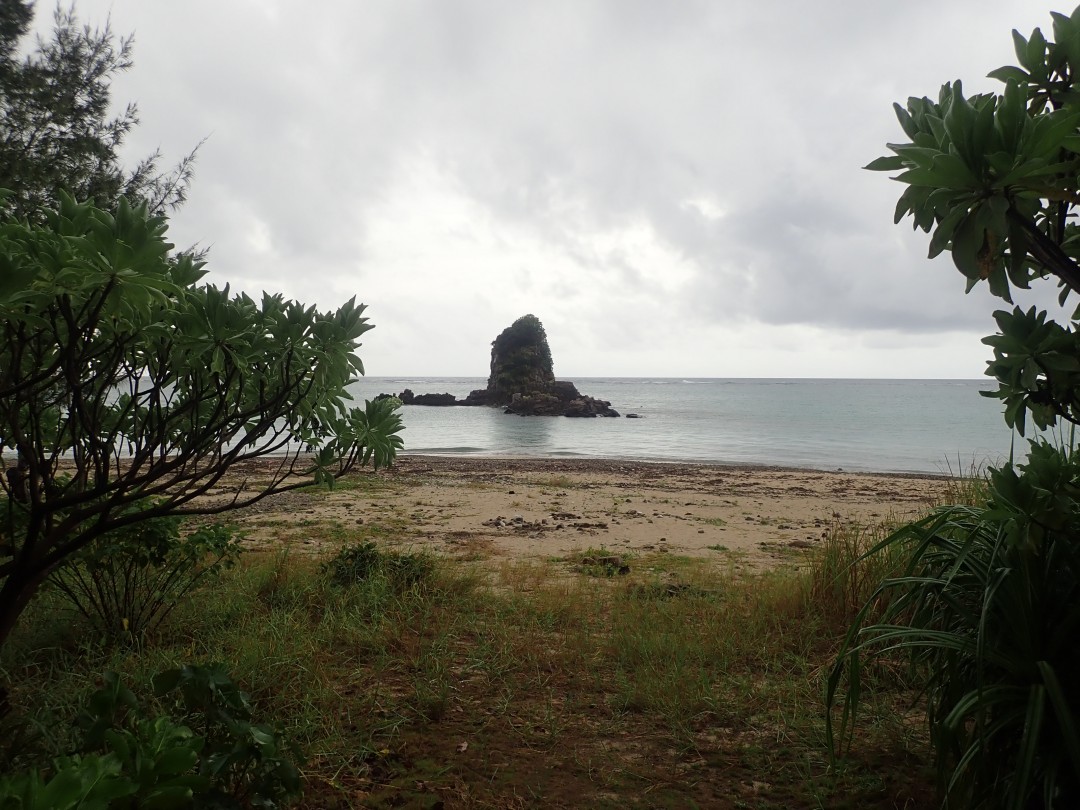 今日の嘉陽海岸