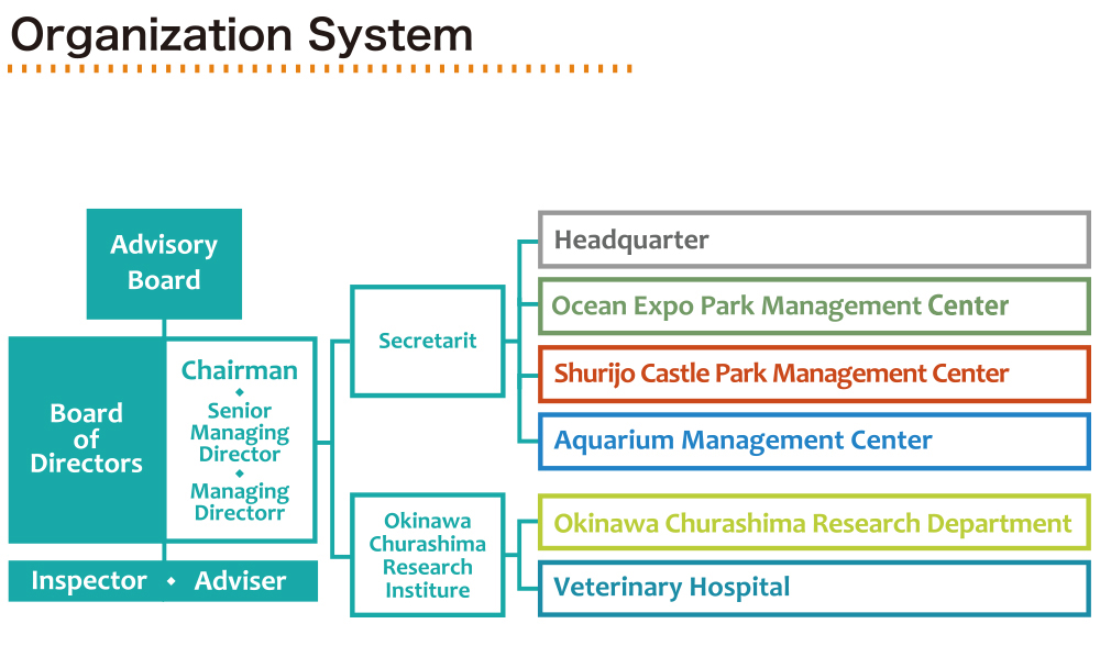 Organizational Structure