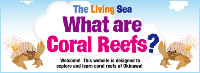 What are coral reefs?