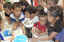 松田小学校で開催された環境学習の様子