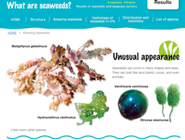図-1　海藻調査英語版Web（教育普及ページ）