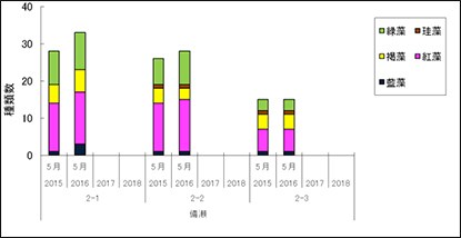 図-4　備瀬崎における海藻種数（2m永久方形枠）