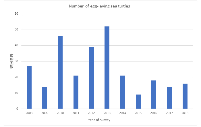 Cleaning conducted on beaches where sea turtles lay their eggs