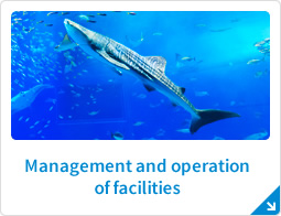 Management and operation of facilities