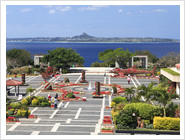 国営沖縄記念公園 海洋博覧会地区（海洋博公園）