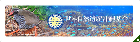 世界自然遺産沖縄基金