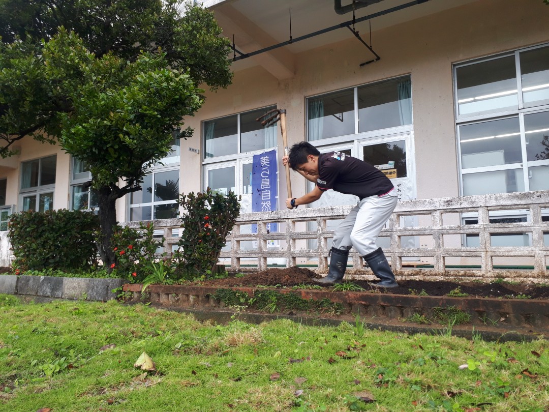 ある日の学校 花壇のリセット かめーかめーブログ 一般財団法人 沖縄美ら島財団