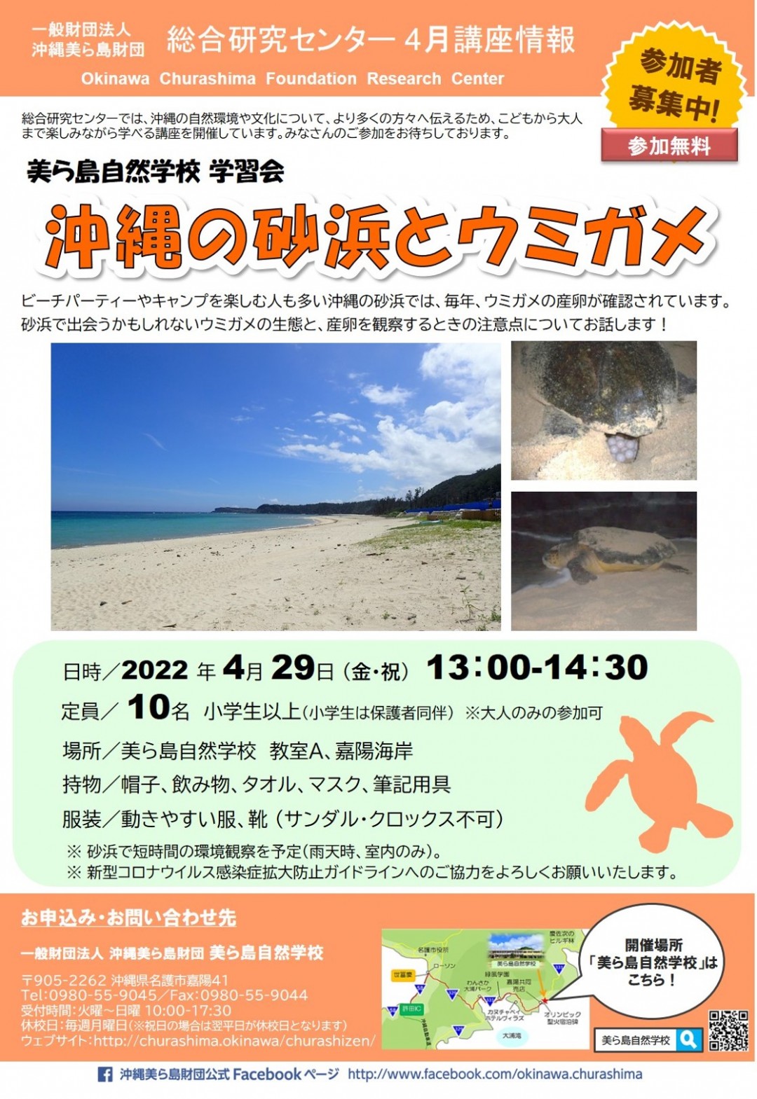 【参加者募集！】学習会「沖縄の砂浜とウミガメ」