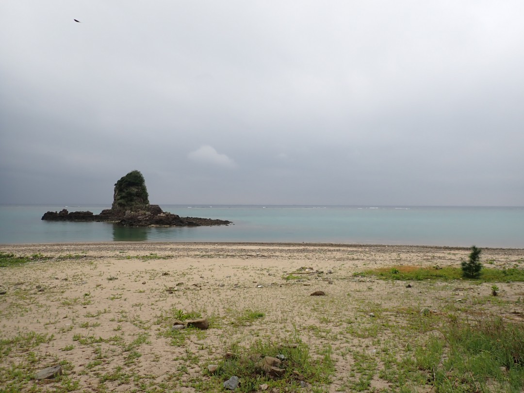 今日の嘉陽海岸