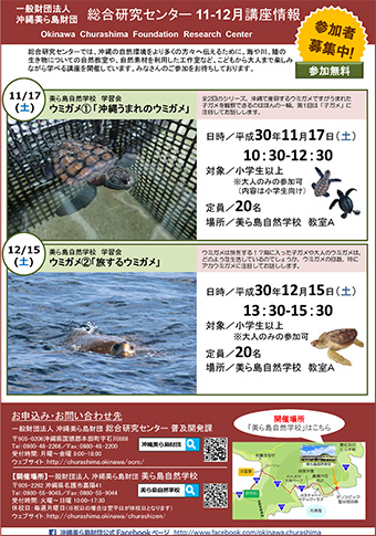 11/17開催！美ら島自然学校　学習会 ウミガメ（1）「沖縄うまれのウミガメ」