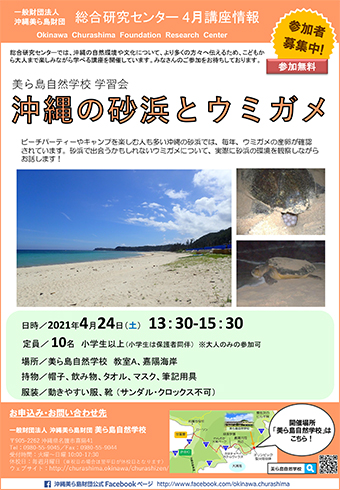 4/24開催！沖縄の砂浜とウミガメ